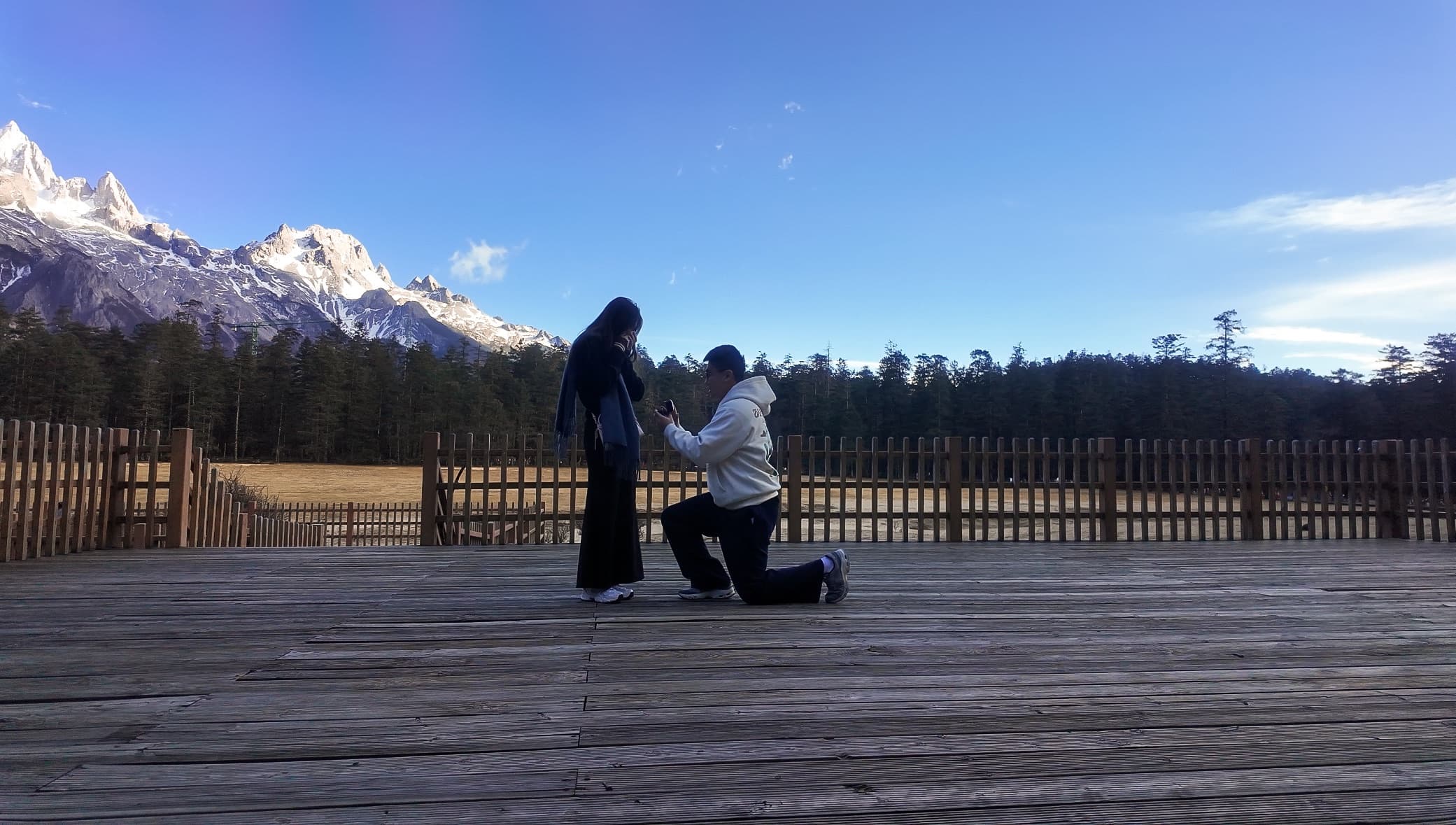 The Proposal